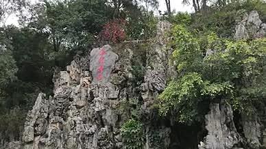 假山岩石树木拍摄实拍视频的预览图